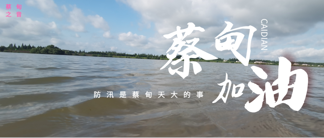 蔡甸區(qū)啟動(dòng)防汛ⅰ級(jí)應(yīng)急響應(yīng)，做好鋪土釘防汛木樁工作