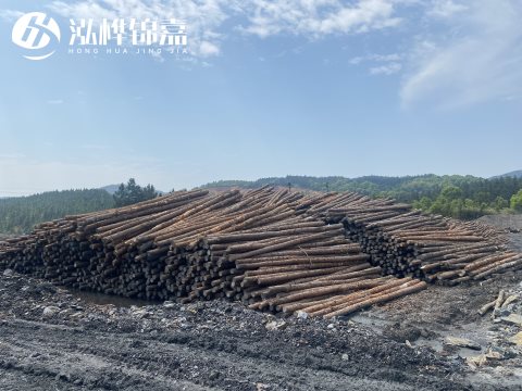 河道打樁為什么選擇松木樁來處理軟地基？-松木樁施工使用范圍