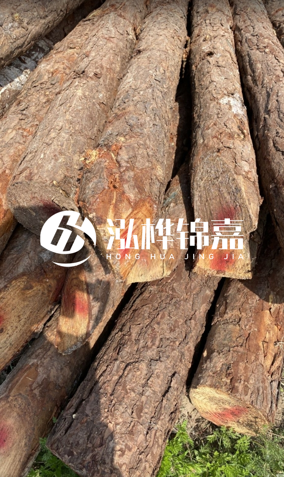 <strong>松木樁和杉木樁的用途區(qū)別？哪個更適合打樁用？</strong>