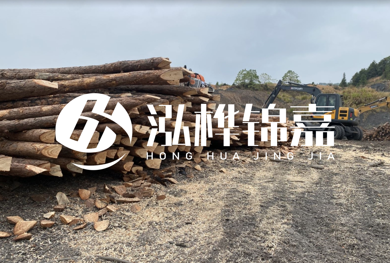 松木樁尾徑是什么意思？