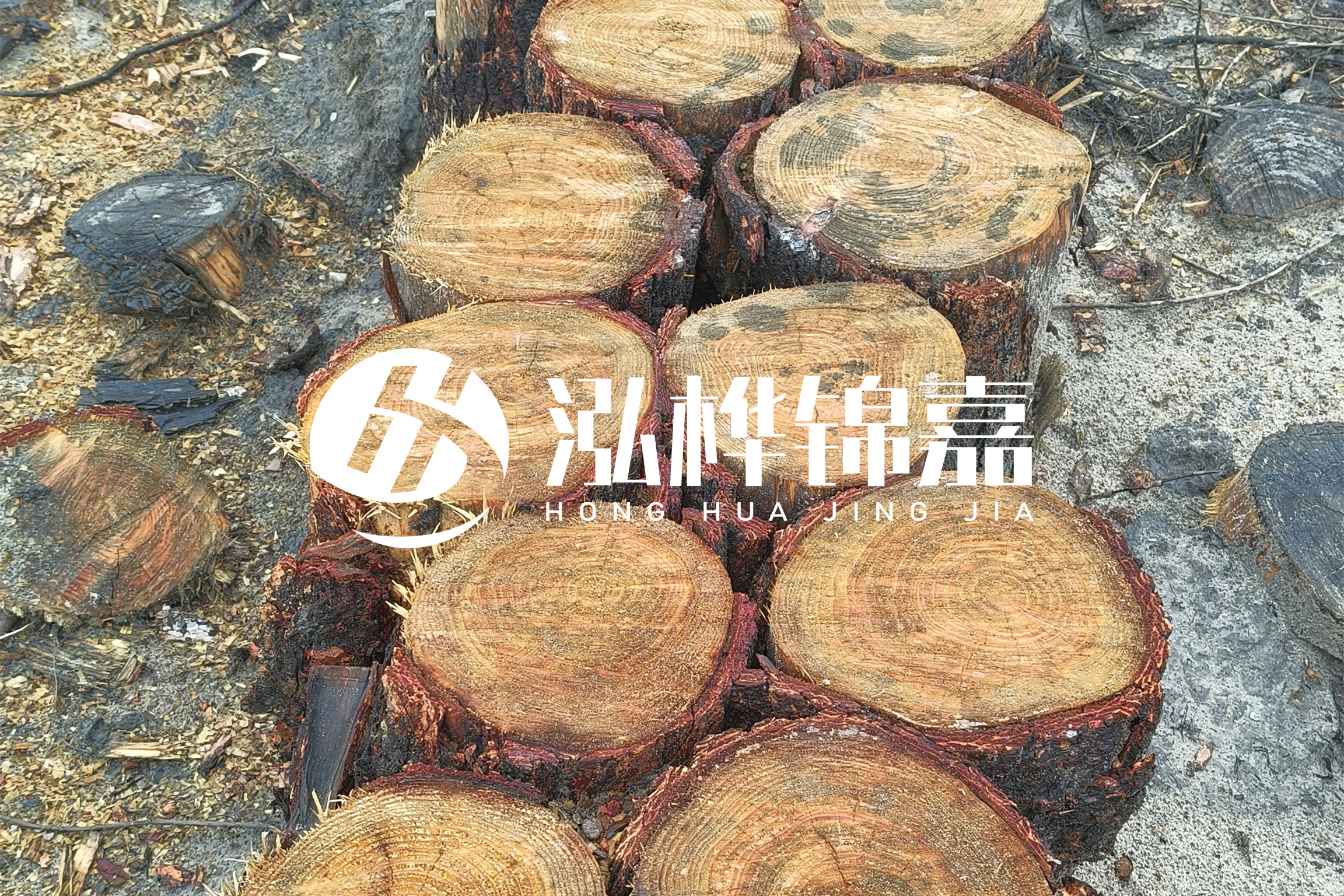 浙江臺(tái)州有清淤的公司嗎？浙江臺(tái)州有清淤施工隊(duì)嗎？