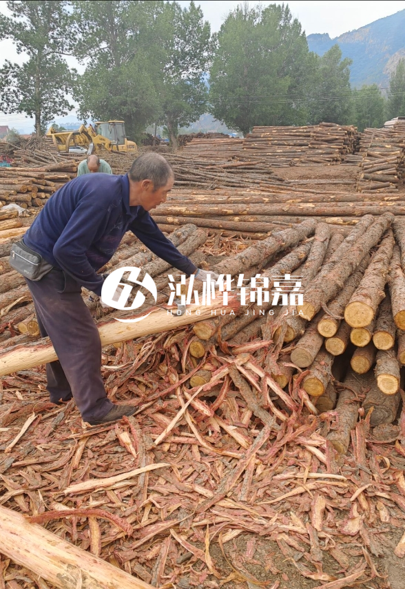 東營河道清淤專業(yè)施工隊-不同型號挖機清淤能力對比？