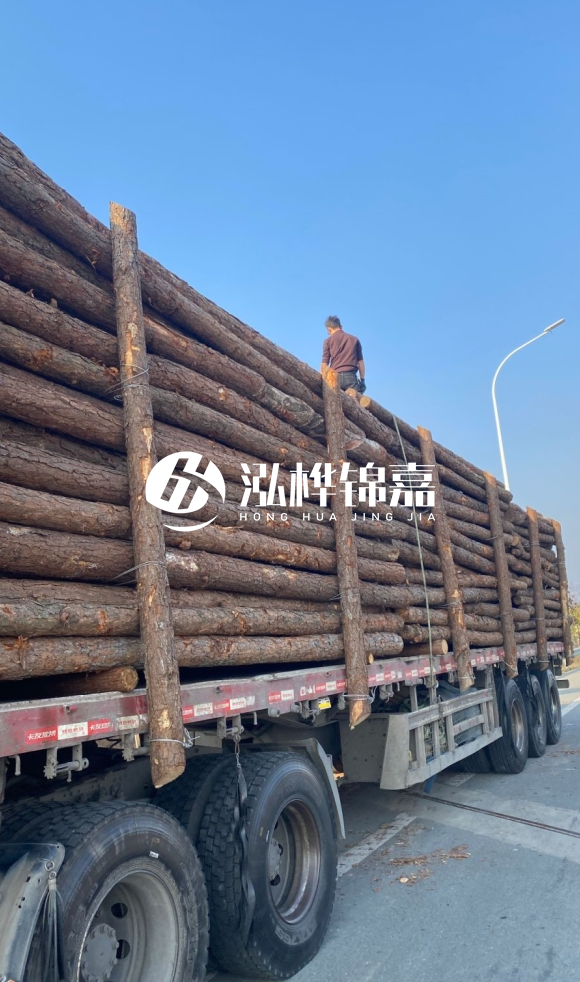 煙臺(tái)挖機(jī)打木樁專業(yè)施工-打防汛木樁后如何進(jìn)行加固？