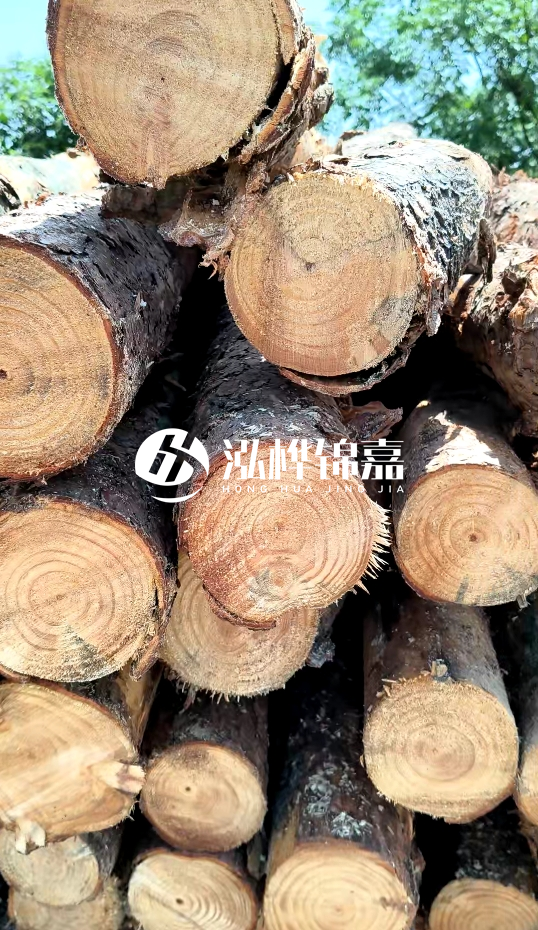周口挖機(jī)打木樁專業(yè)施工-杉木樁施工打樁怎么打？