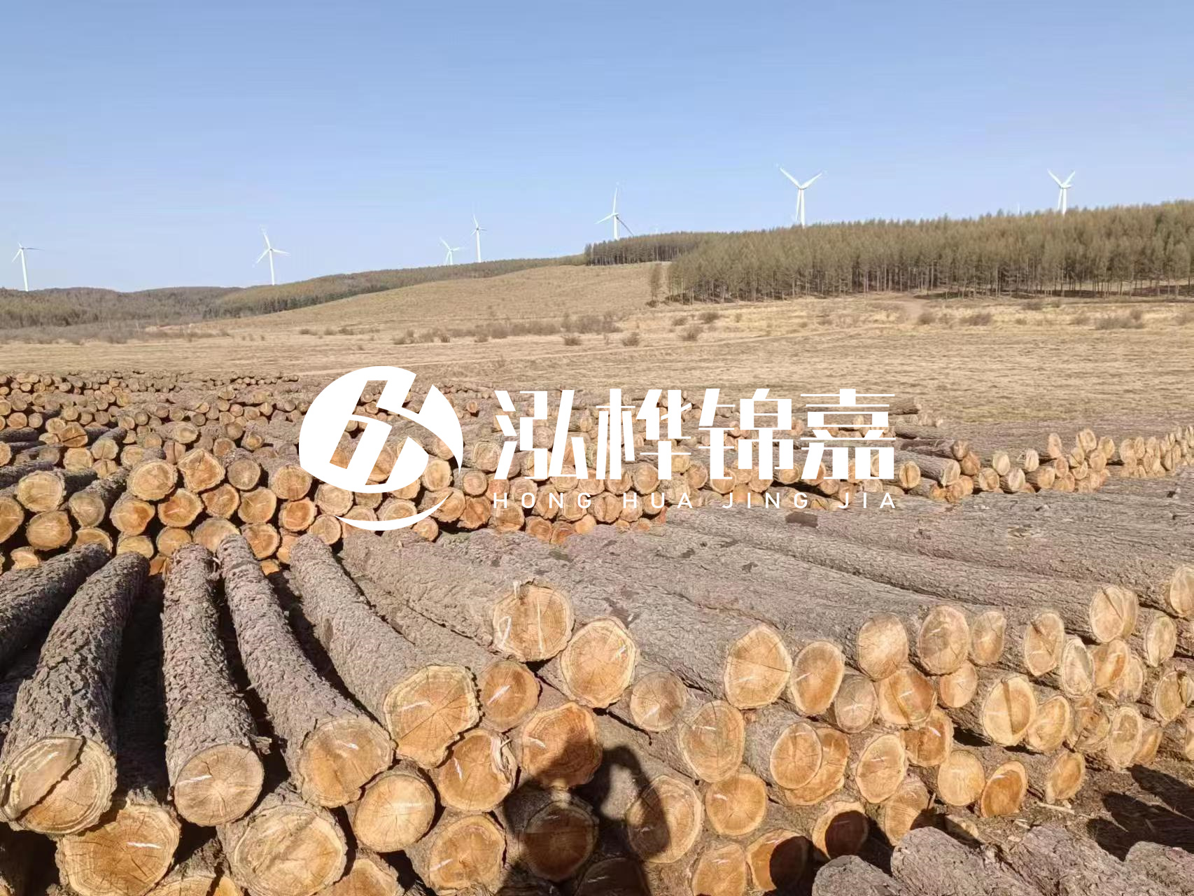 咸寧松木樁源頭廠家-哪里能買到質(zhì)量好的松木樁打樁木？