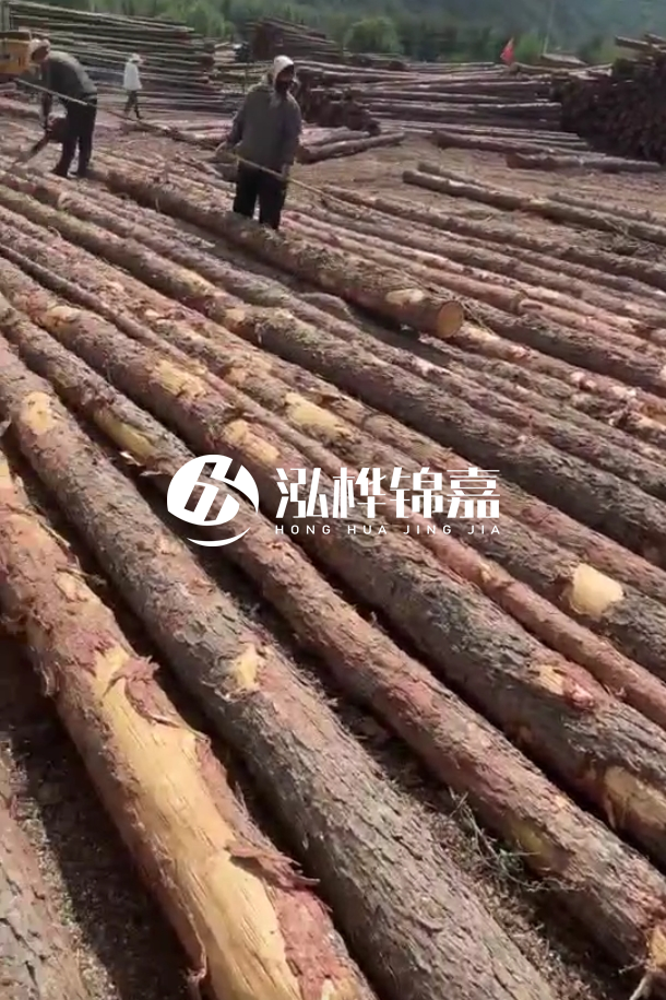 ?？谒赡緲对搭^廠家-松木樁最長(zhǎng)可以做多少米？