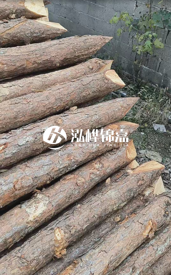 松木樁哪里能大量供應(yīng)？4米20公分松木樁價格是多少？