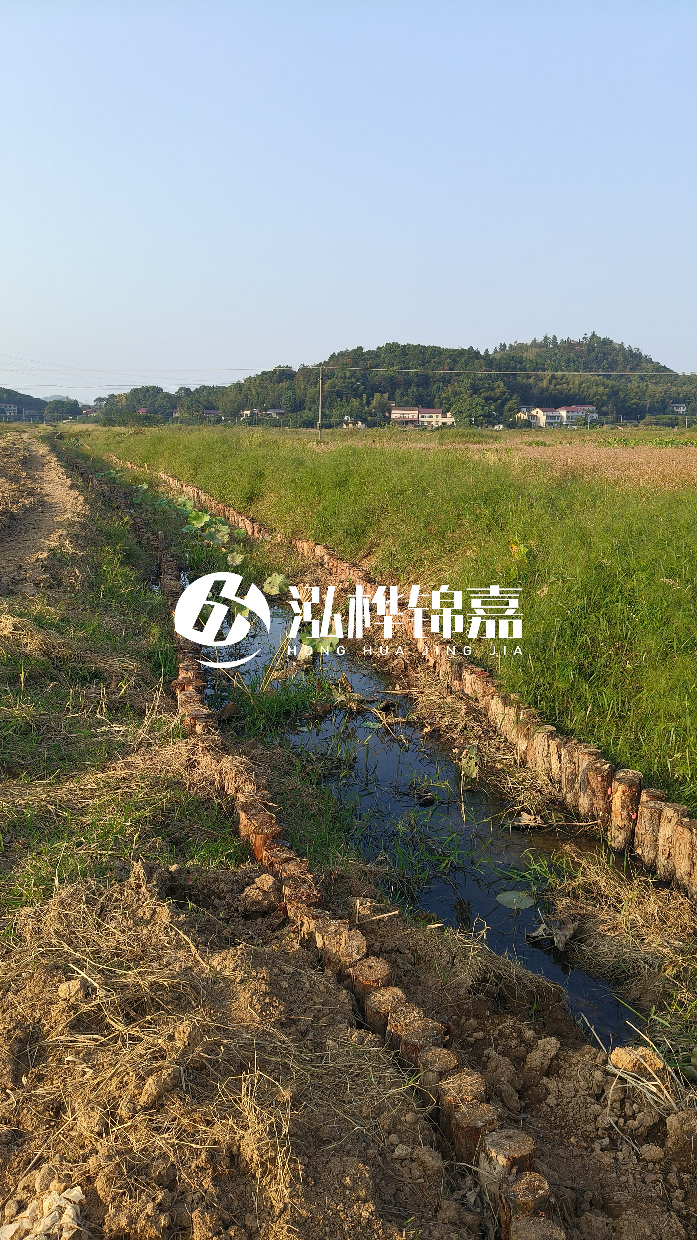 河道護坡打木樁的目的全解析：你知道幾個？