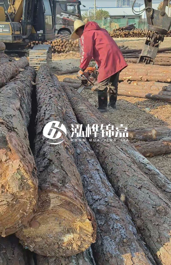 長(zhǎng)沙打樁木批發(fā)廠家在哪里？聯(lián)系方式是什么？