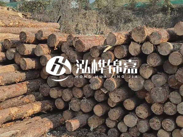 落葉松木材的主要產(chǎn)地在哪里？為什么比其他松木更耐腐蝕？