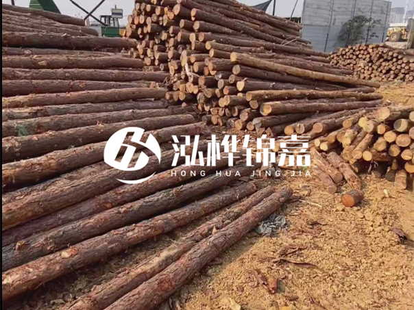 河道木樁施工遇到淤泥怎么辦？打多深才能防沖刷？