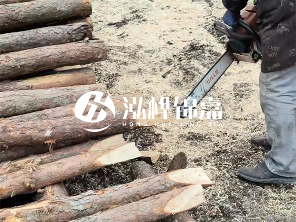 杉木樁批發(fā)廠家哪家好？產(chǎn)地直供渠道推薦！