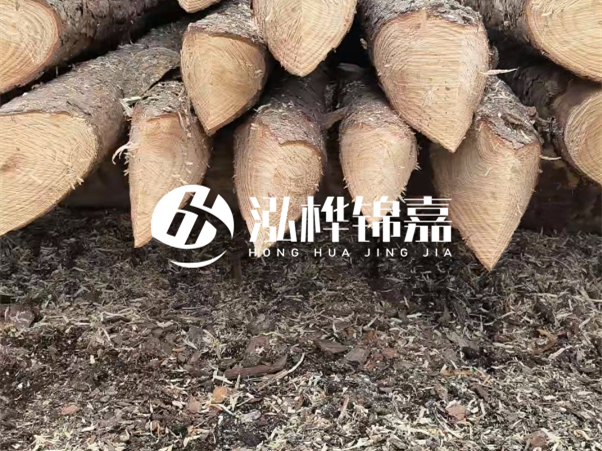 打樁木樁與鋼樁相比有哪些優(yōu)缺點(diǎn)？如何進(jìn)行后期維護(hù)？