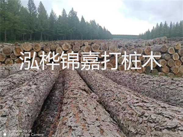 高效施工，圓松木樁助力建筑工程進展順利