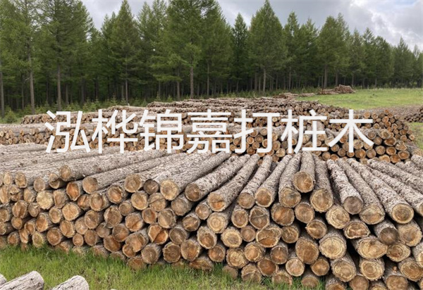 松木樁能施工嗎？探究視頻揭秘真相！