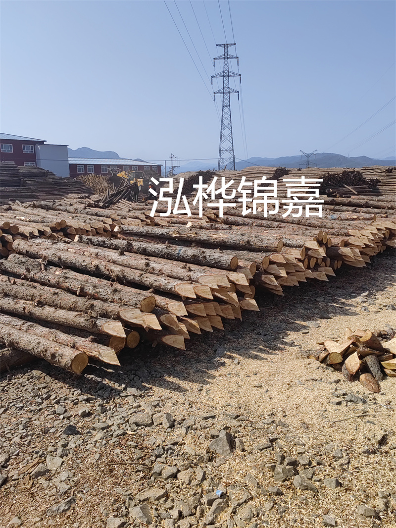 深入了解松木樁基礎(chǔ)施工單價(jià)，助力工程建設(shè)順利進(jìn)行！