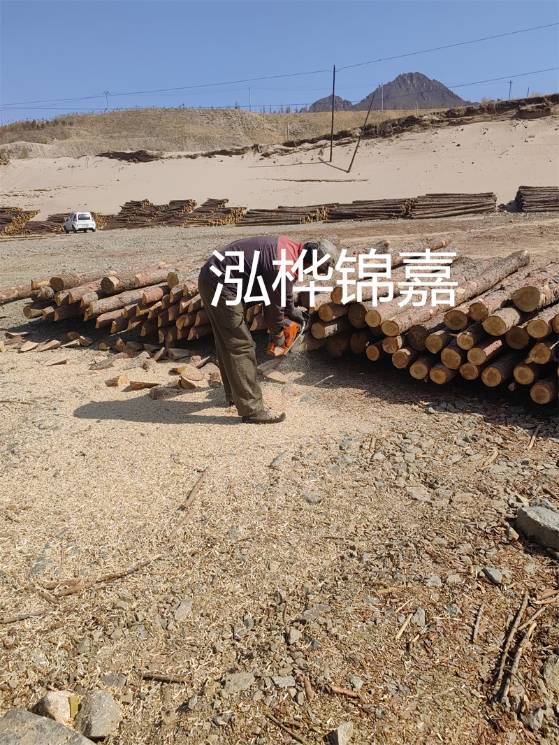 松木樁駁岸施工，打造水上風(fēng)景線(xiàn)