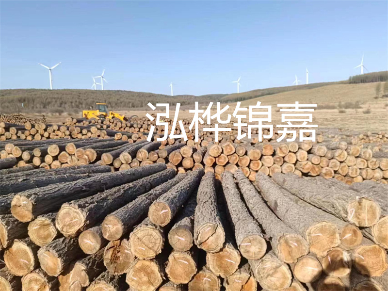 溫州松木樁施工廠家——為您打造堅(jiān)固穩(wěn)定的建筑基礎(chǔ)！