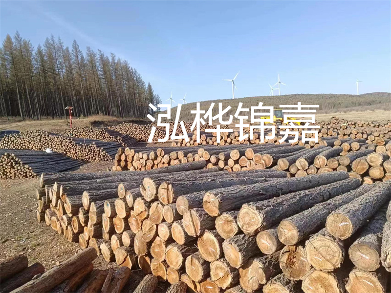 用路基松木樁施工方案提升工程質(zhì)量描述：了解路基松木樁施工方案的重要性，提高工程質(zhì)量關(guān)鍵詞：路基松木樁，施工方案，工程質(zhì)量