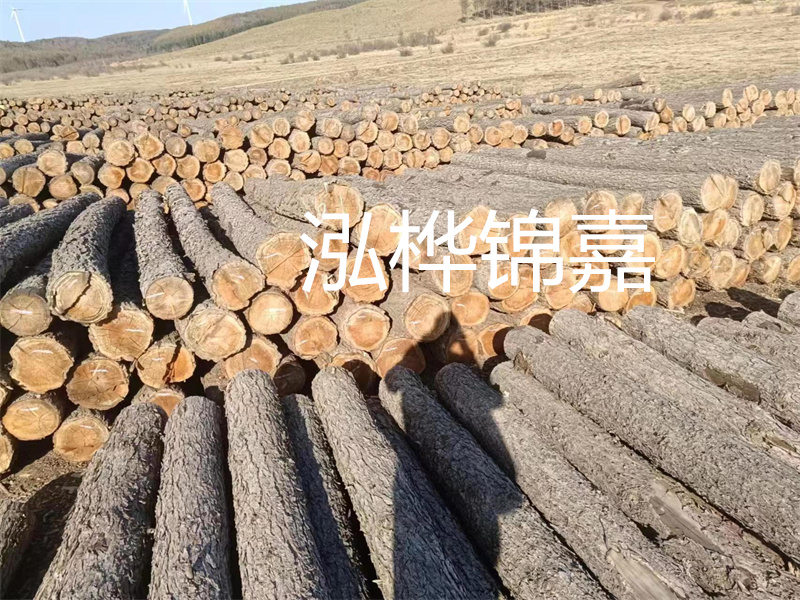 選擇合適的路緣石尺寸，打造美麗道路