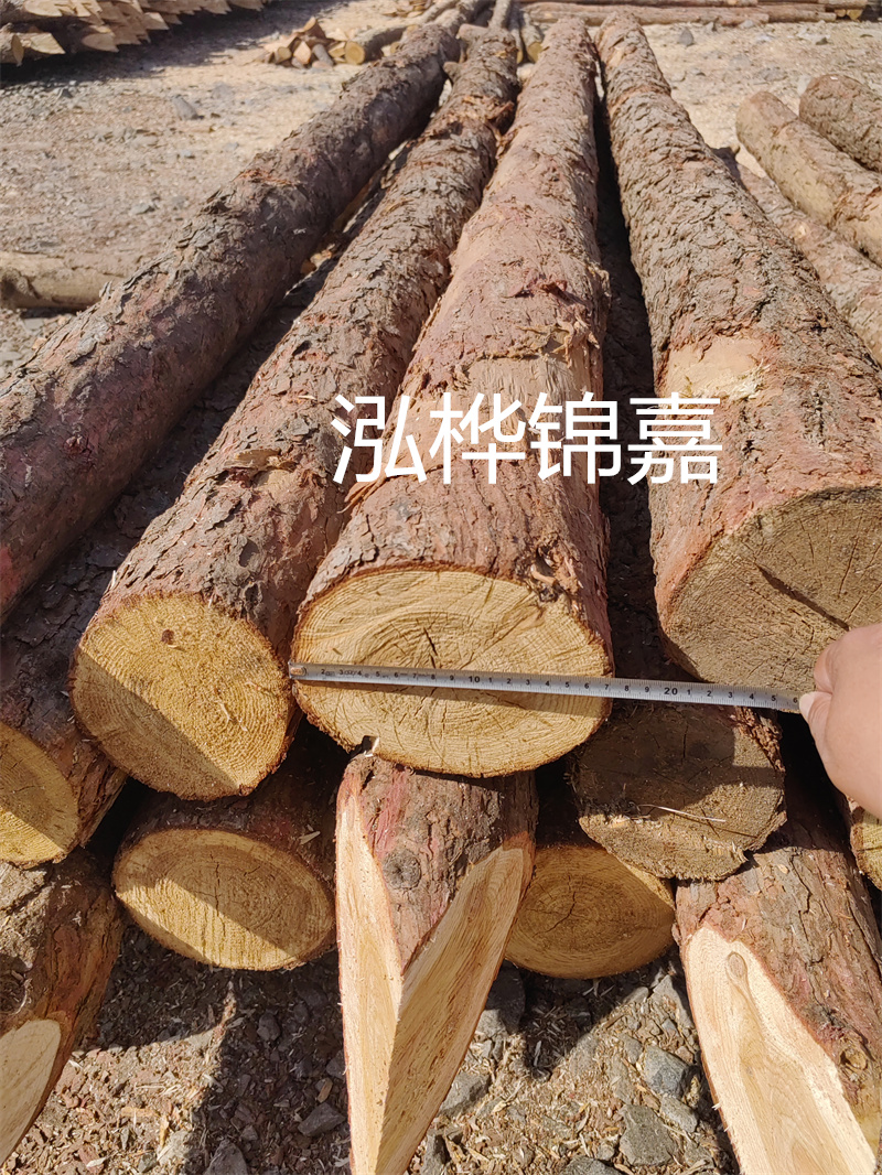 福建哪里買松木樁？