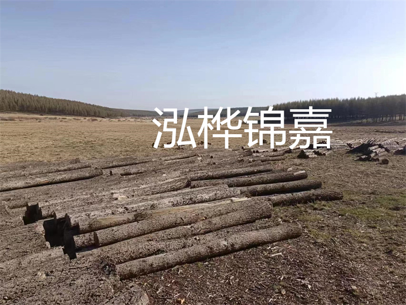 鄂州松木樁哪里好？推薦泓樺錦嘉松木樁業(yè)！